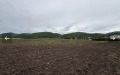 Продава ПАРЦЕЛ, с. Стамболово, област София област, снимка 5