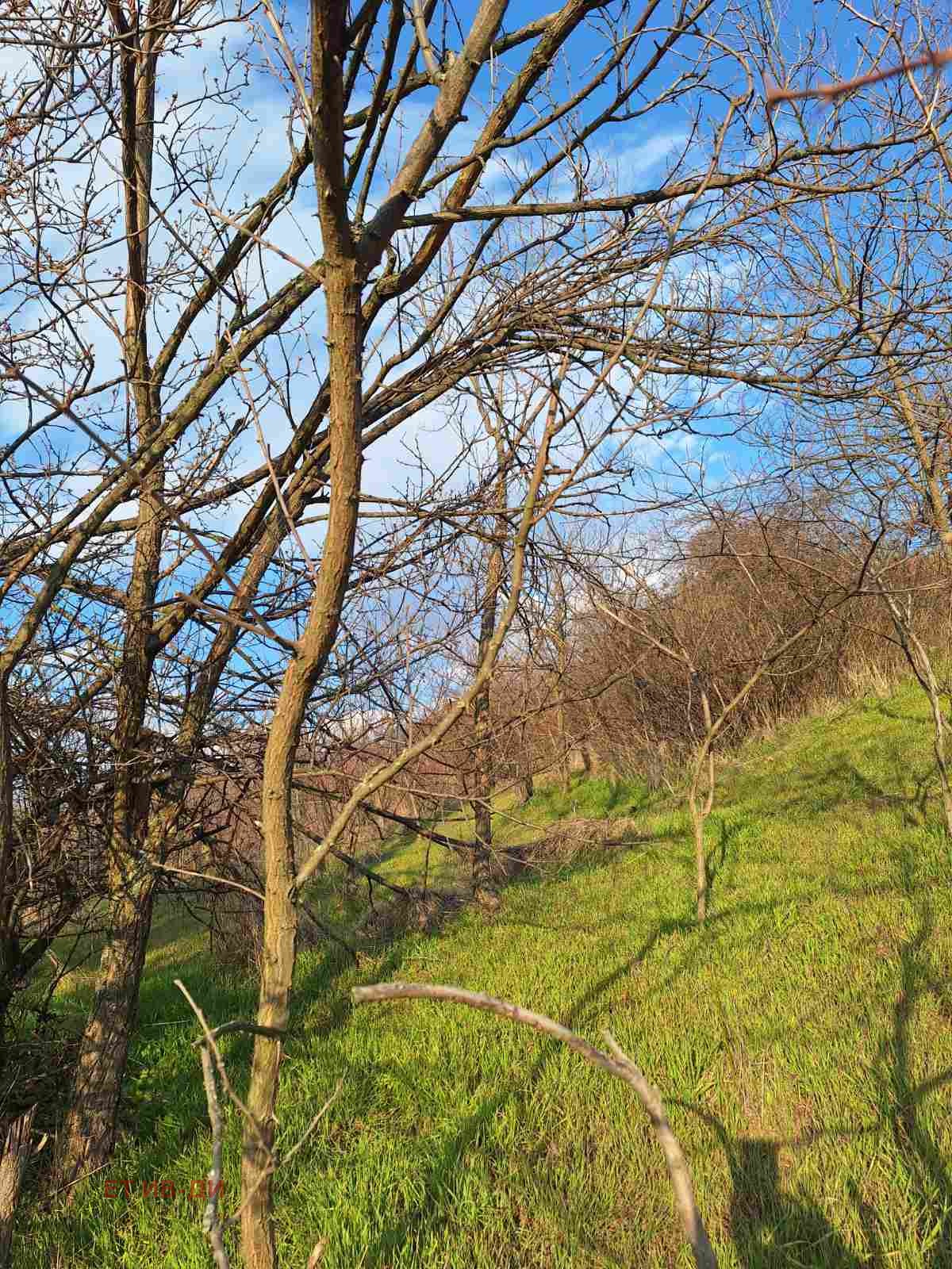 ������� ������ | Imot.bg � ����������� 3