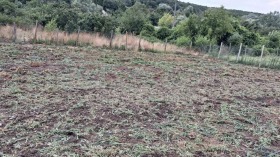 ������� ������ | Imot.bg � ����� ������ 5