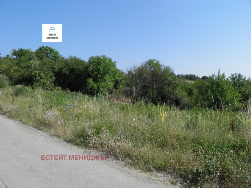 Satılık  Komplo Sofia , Pançarevo , 1954 metrekare | 99209270 - görüntü [6]
