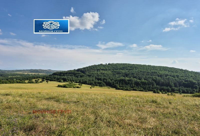 Продава  Парцел област София , гр. Костинброд , 1000 кв.м | 53199875 - изображение [4]