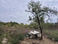 Продава ПАРЦЕЛ, област Варна, с. Осеново • 60000 € / 117349.80 лв. • 55797395 3