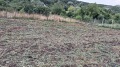 Продава ПАРЦЕЛ, област Варна, с. Калиманци • 34000 € • 37169205 5