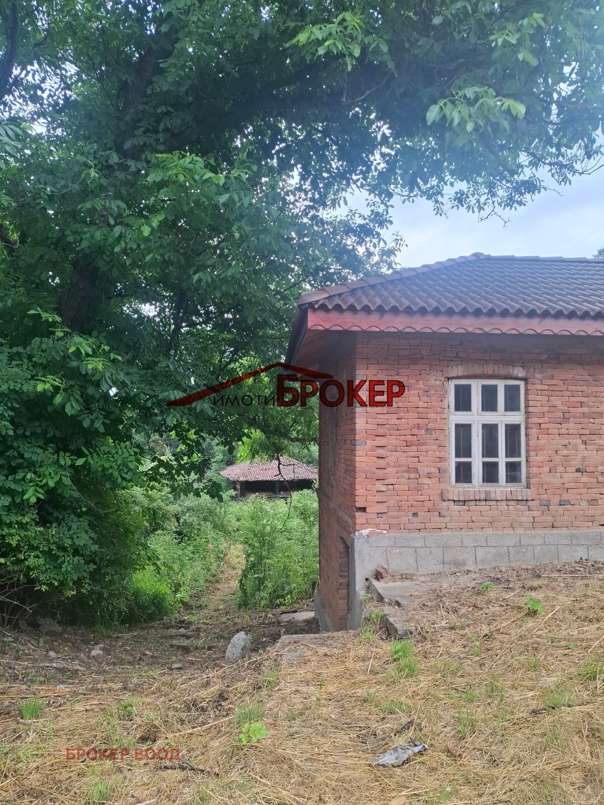 ������� ���� | Imot.bg � ����������� 2