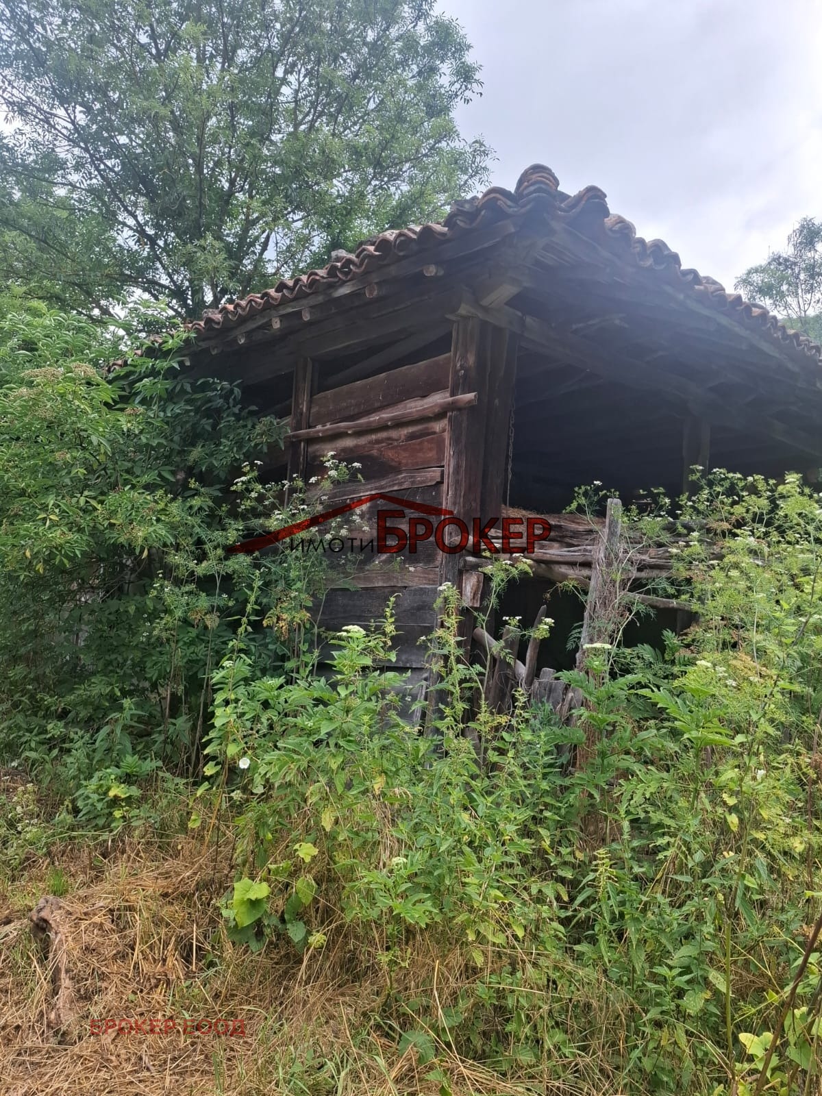 ������� ���� | Imot.bg � ����������� 12