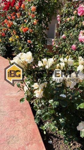 ������� 3-����� | Imot.bg � ����� ������ 14