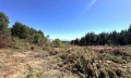 Продава ПАРЦЕЛ, гр. Разлог, област Благоевград, снимка 2