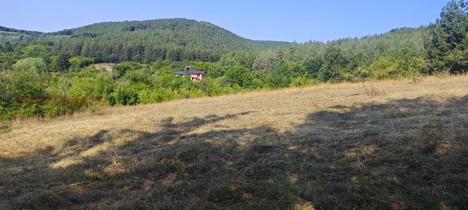 ������� ������ | Imot.bg � ����������� 7