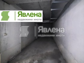 ����� ������� �����,���� �����, ����� 8