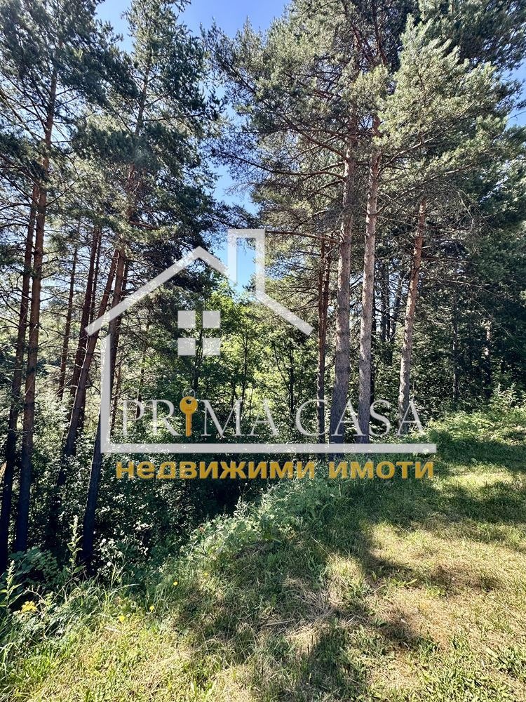 Til salg  Hus region Pazardzhik , Rakitovo , 150 kvm | 50268028 - billede [16]