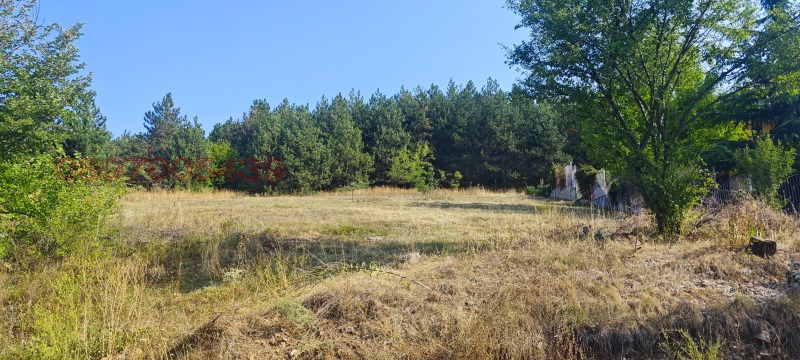 Продава ПАРЦЕЛ, с. Борилово, област Стара Загора, снимка 16 - Парцели - 53028733