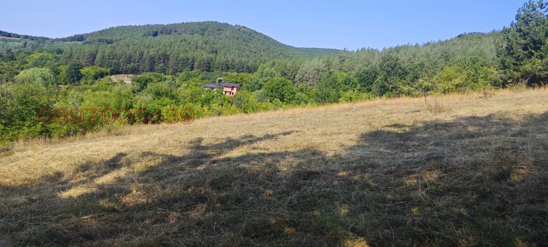 Продава ПАРЦЕЛ, с. Борилово, област Стара Загора, снимка 7 - Парцели - 53028733