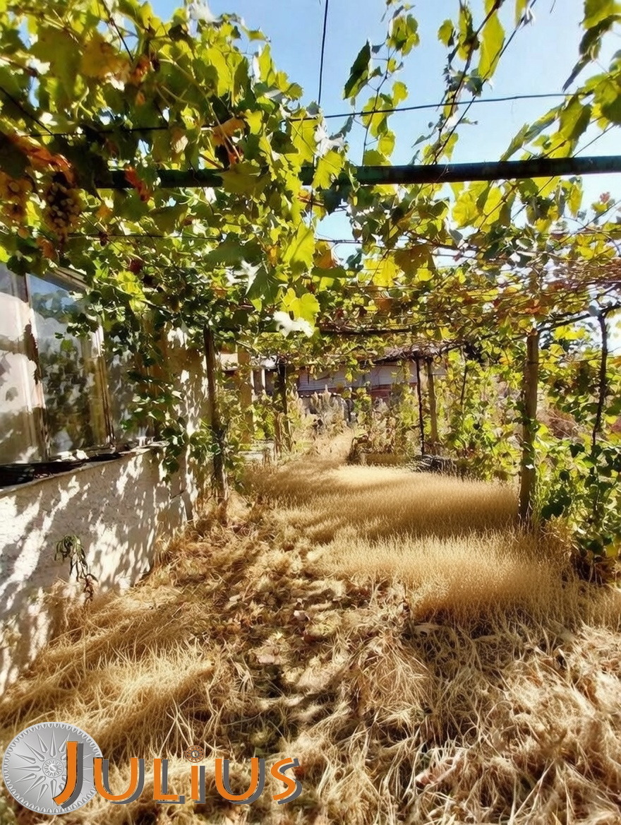 Продава КЪЩА, с. Труд, област Пловдив, снимка 5 - Къщи - 47124792