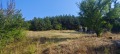 Продава ПАРЦЕЛ, с. Борилово, област Стара Загора, снимка 2