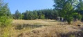 Продава ПАРЦЕЛ, с. Борилово, област Стара Загора, снимка 15
