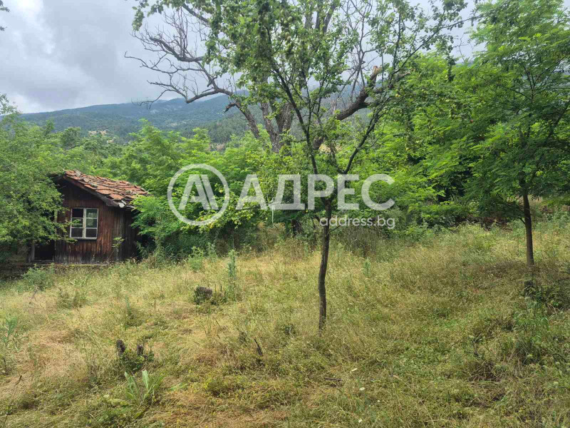 ПАРЦЕЛ