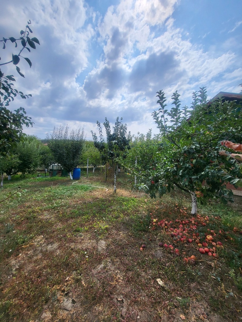 For Sale  Plot region Pleven , Telish , 750 sq.m | 84543805 - image [4]