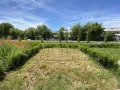 Продава 2-СТАЕН, гр. Варна, Трошево, снимка 7