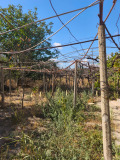 Продава КЪЩА, с. Калугерово, област Пазарджик, снимка 3