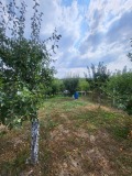 Продава ПАРЦЕЛ, с. Телиш, област Плевен, снимка 5