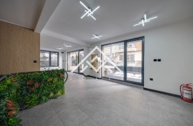 ����� ������� �������,���� �����, �������