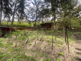 ������� ������ | Imot.bg � ����� ������ 7