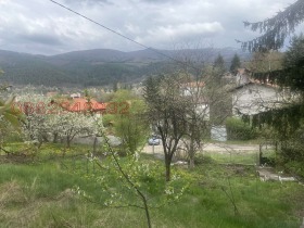 ����� ������� ������,�. �������, ������ ������