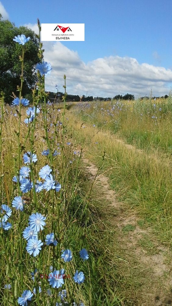 Продава ЗЕМЕДЕЛСКА ЗЕМЯ | Imot.bg — изображение 1