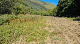 ����� ������� ���������� ����,�. ����, ������ ������