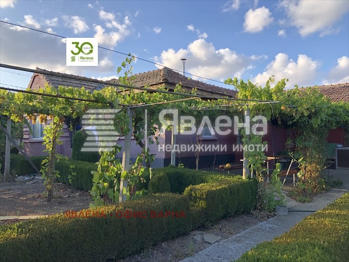 Til salg  Hus region Dobrich , Vidno , 150 kvm | 60362534 - billede [10]