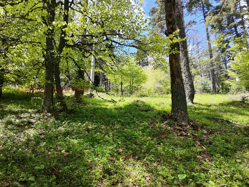 In vendita  Terra regione Plovdiv , Dobralak , 1 dka | 84622071 - Immagine [4]