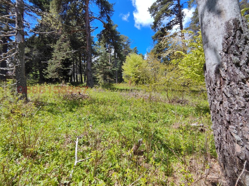 In vendita  Terra regione Plovdiv , Dobralak , 1 dka | 84622071 - Immagine [2]