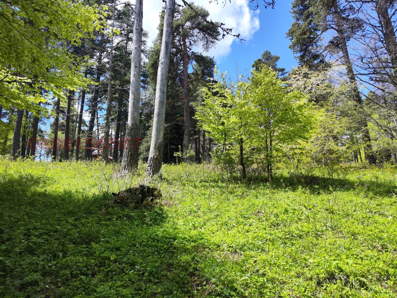 In vendita  Terra regione Plovdiv , Dobralak , 1 dka | 84622071 - Immagine [3]