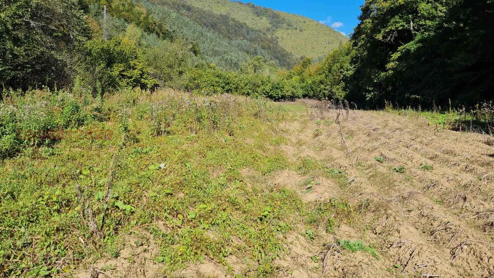 Продава ЗЕМЕДЕЛСКА ЗЕМЯ, с. Арда, област Смолян