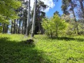 Продава ЗЕМЕДЕЛСКА ЗЕМЯ, с. Добралък, област Пловдив, снимка 3