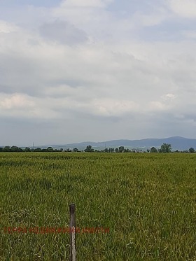 ������� ������ | Imot.bg � ����� ������ 6