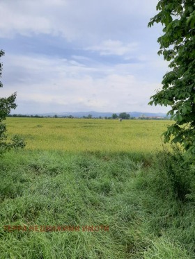 ������� ������ | Imot.bg � ����� ������ 5