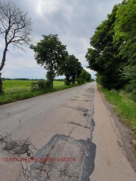 ����� ������� ������,���� �����, �. ��������