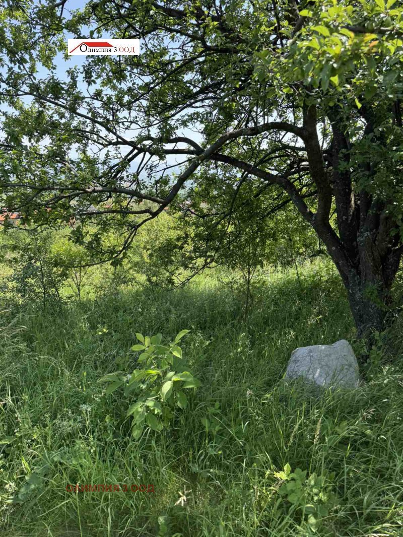 Na prodej  Spiknutí Sofia , Lozen , 1955 m2 | 26882961