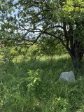 Продава ПАРЦЕЛ, гр. София, с. Лозен, снимка 1