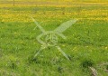 Продава ПАРЦЕЛ, област Пловдив, гр. Хисаря • 53000 € • 60710993 — Holmes.bg