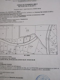 Продава  Парцел област Варна , с. Осеново , 1003 кв.м | 77523445 - изображение [2]