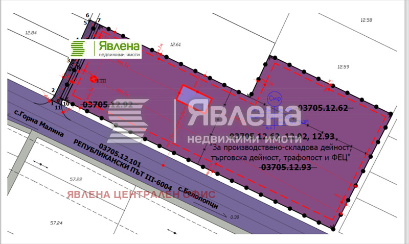 De vânzare  Complot regiunea Sofia , Belopopți , 12000 mp | 70534232