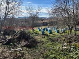 ������� ���� | Imot.bg � ����� ������ 12