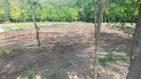 ������� ������ | Imot.bg � ����� ������ 8