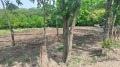 Продава ПАРЦЕЛ, с. Аврен, област Варна, снимка 10