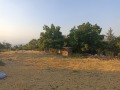 Продава ПАРЦЕЛ, област Пазарджик, с. Розово • 11898 € • 94736201 — Holmes.bg