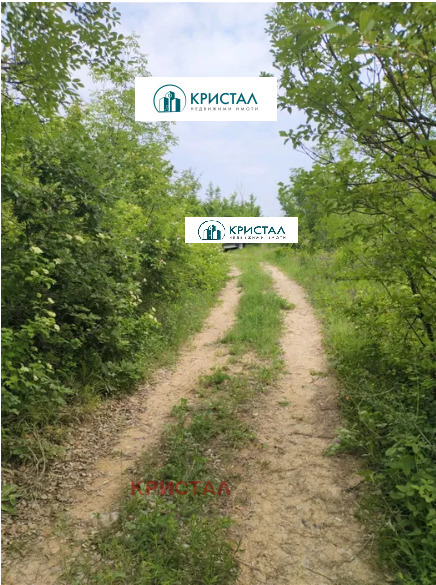 ������� ������ | Imot.bg � ����������� 1