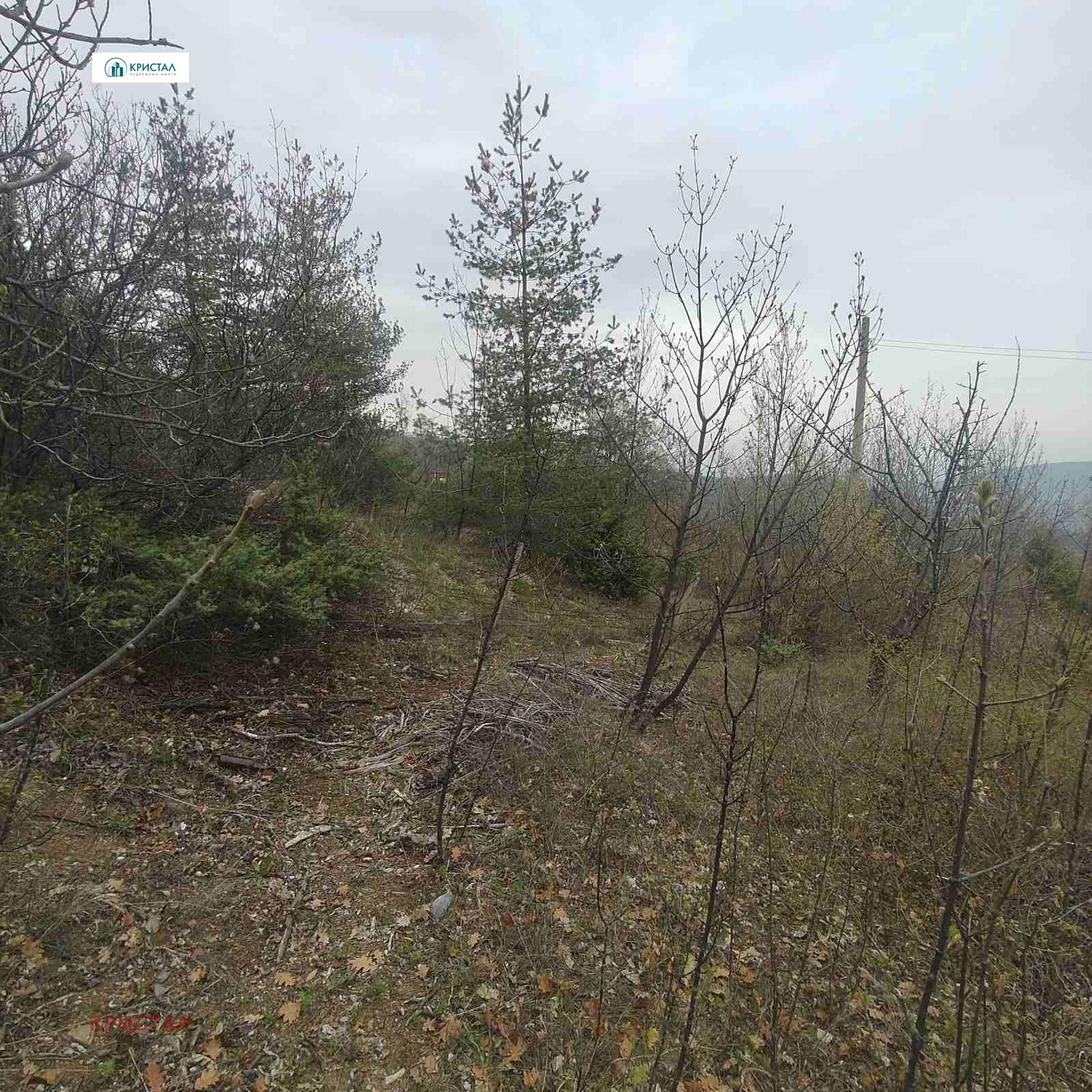 ������� ������ | Imot.bg � ����������� 10