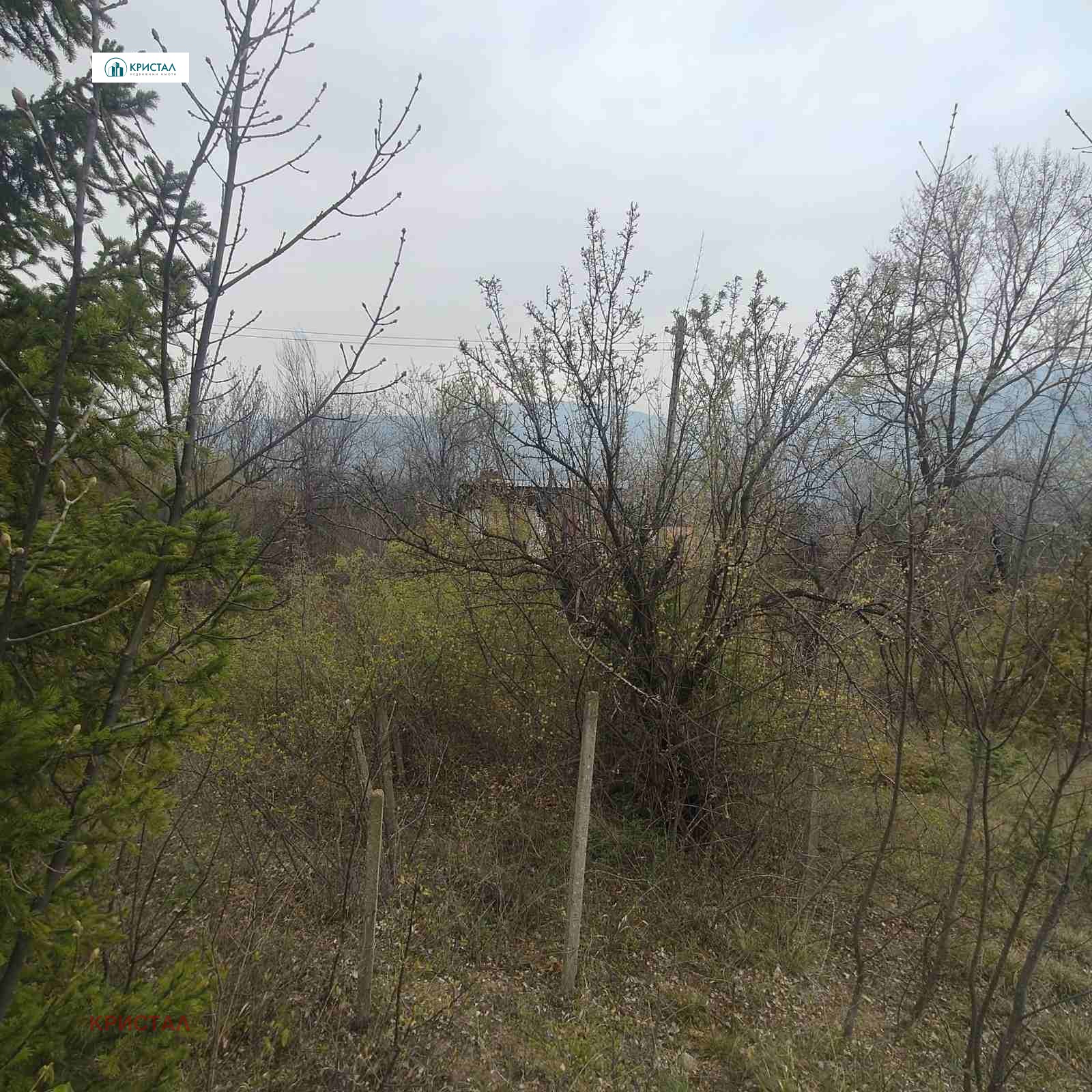 ������� ������ | Imot.bg � ����������� 7